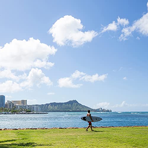 REEF Men's One Slide Sandal,