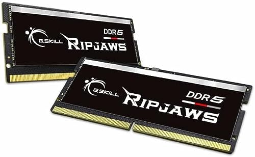 G.SKILL Ripjaws DDR5 SO-DIMM Series DDR5 RAM 64GB (2x32GB) 5600MT/s CL40-40-40-89 1.10V Unbuffered Non-ECC Notebook/Laptop Memory SODIMM (F5-5600S4040A32GX2-RS)