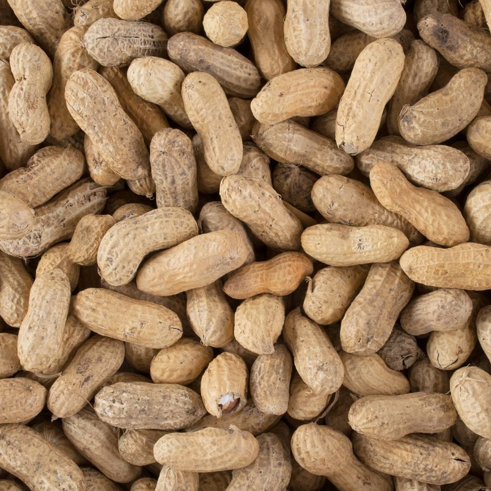 Hampton Farms 25 lb. Roasted Unsalted In-Shell Peanuts