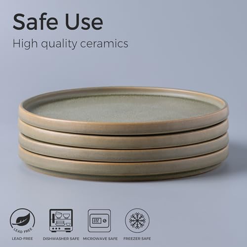 AmorArc Stoneware Dinner Plates Set of 4, 10.25 Inch Reactive Matte Glaze Ceramic Plates Set, Modern Dinnerware Dish set for Kitchen, Microwave, Dishwasher Safe, Scratch Resistant