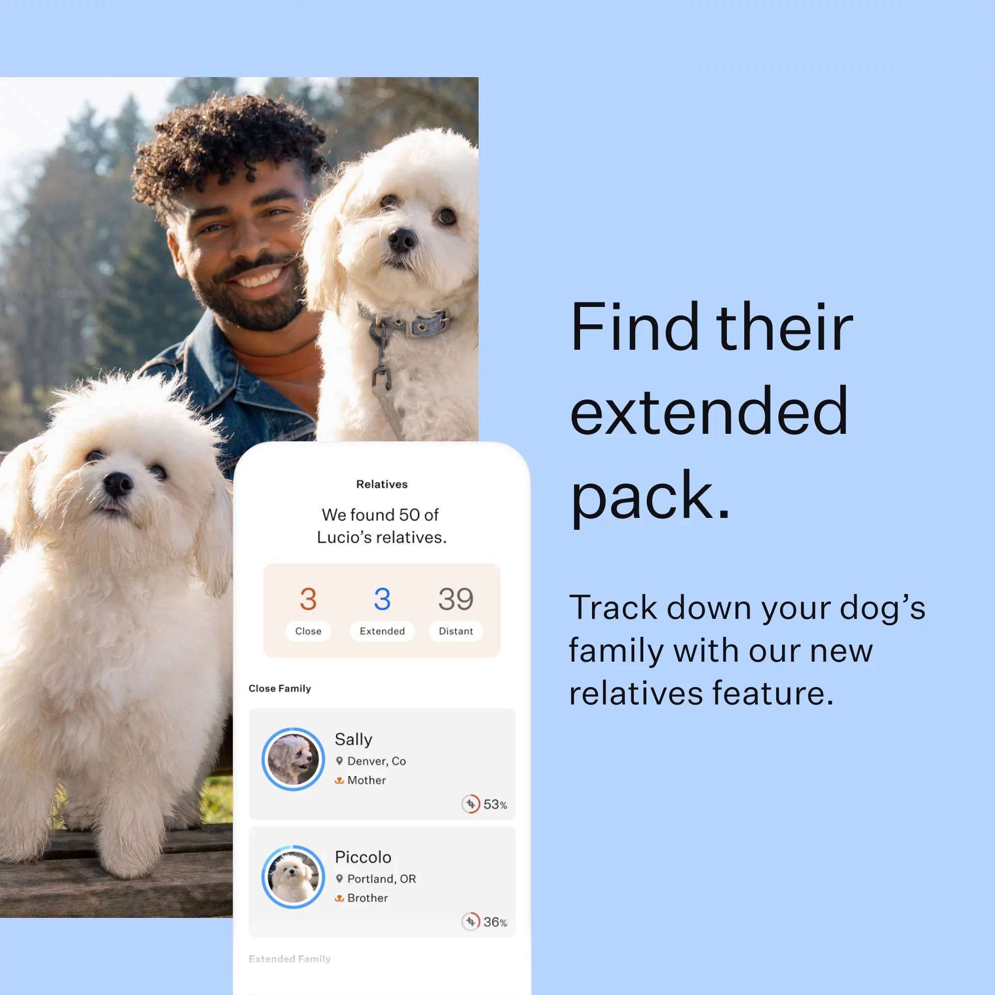 Wisdom Panel Dog Breed Discovery DNA Test Kit