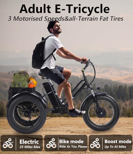 Adult Electric Tricycle Adult Tricycle 3 Wheel Bikes Adults Electric Three Wheel Bike