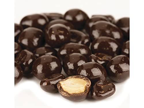 Bayside Candy Dark Chocolate Collection Dark Chocolate Covered Peanuts (2LBS)
