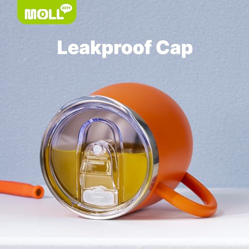 Tumbler with Lid and Straw-12 oz Stainless Steel Double Wall Vacuum Insulated Tumbler Cup with Handle (Canyon Red-Sky Blue)