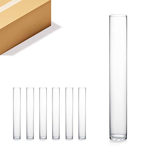 WGVI Quality Thick Weighted Tall Clear Cylinder Glass Vases, 4