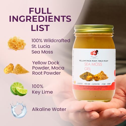 Healthy Herbs Sea Moss Gel (Elderberry) Wildcrafted from Jamaican St Lucia Gold Seamoss | Wild-Harvested Superfood With Over 90 Essential Vitamins & Minerals | Vegan, Non-GMO, US-Made (16 oz.)