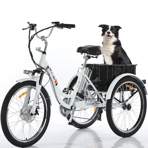 HOLAA Electric Tricycle for Adults 3 Wheel Electric Bicycle, 24
