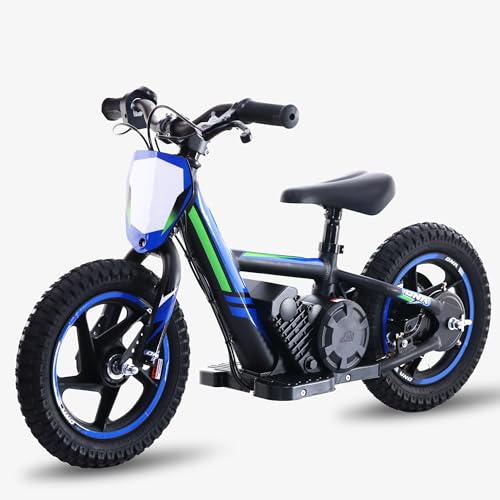 Lightweight Electric Dirt Bike for Kids, 340W Powerful Racing Grade Electric Motorcycle Up to 12MPH，24V Detachable Battery, 16-Inch Off-Road Tires, Adjustable Seat - Ideal for Ages 5-8