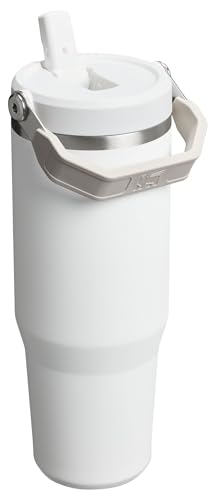 Stanley IceFlow Flip Straw Tumbler with Handle 30 oz | Twist On Lid and Flip Up Straw | Leak Resistant Water Bottle | Insulated Stainless Steel |BPA-Free | Lilac