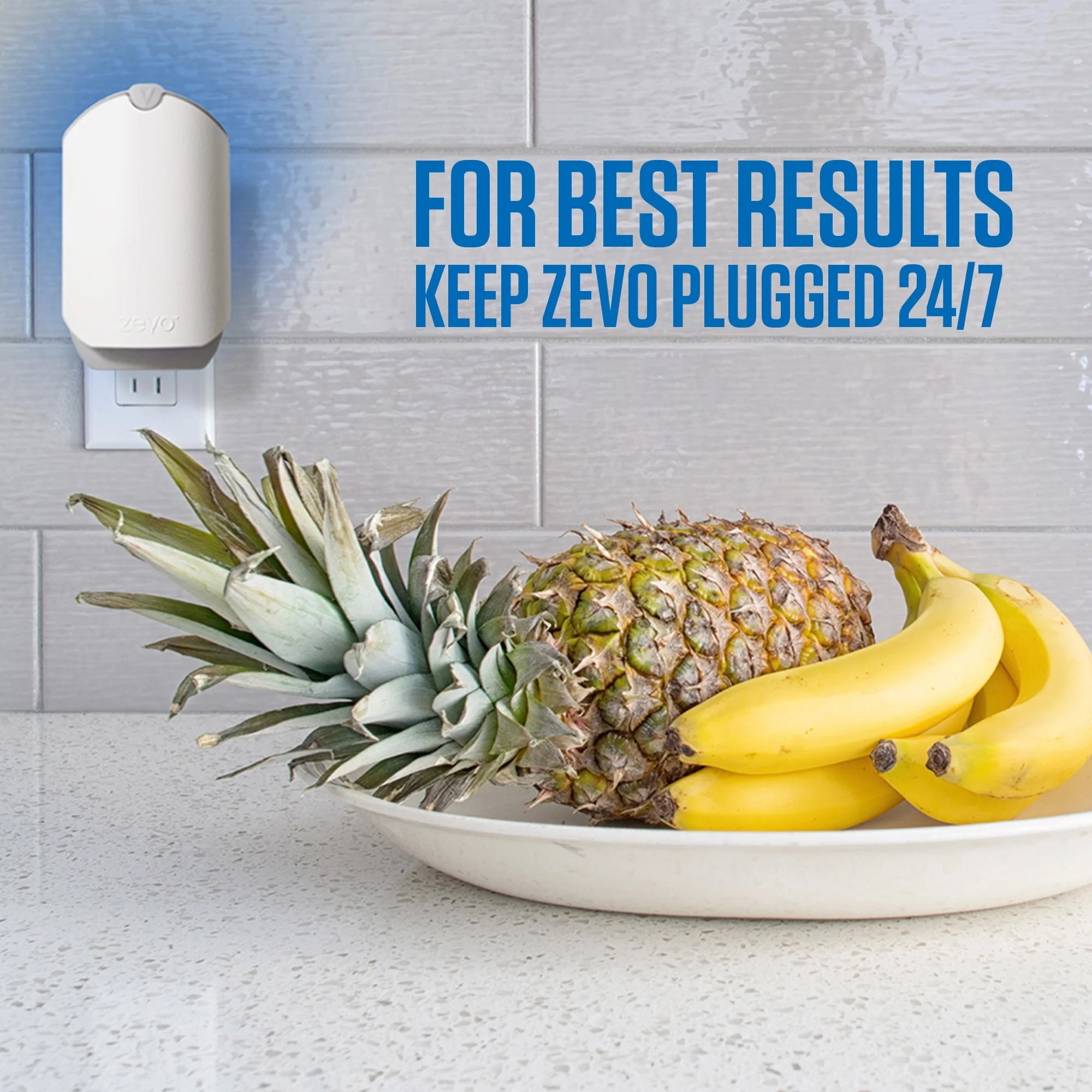 Zevo Flying Insect Trap, Fly Trap (Twin Pack)