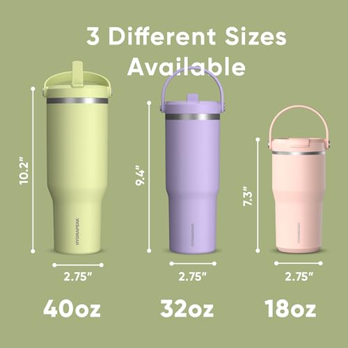 Hydrapeak Nomad 24 oz Tumbler with Handle and Straw Lid, Leakproof, Double Insulated, 24oz Cup Stainless Steel (Blush)