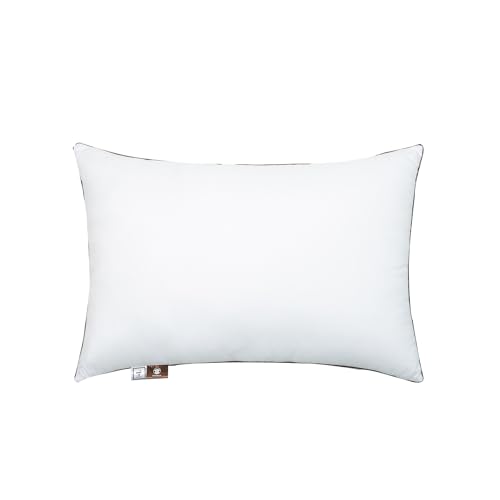 Premium 2-Pack Sleeping Pillow, Bed Pillow, Super Soft Down Alternative with Washable Covers, Microfiber Filling, Set of 2 (White, Queen)