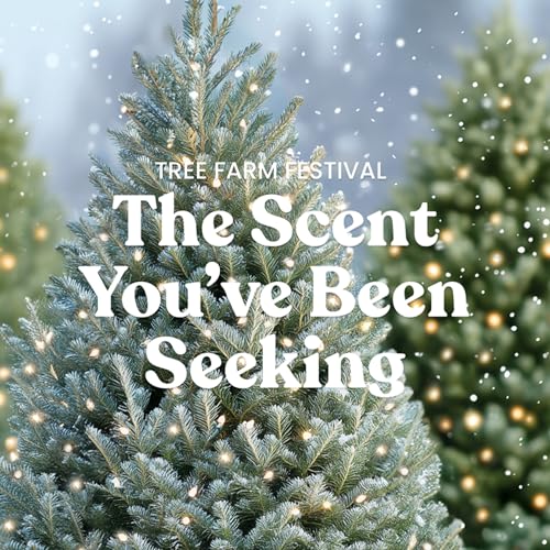 Yankee Candle Balsam & Cedar, Holiday Scented Candle, 22oz Large Jar with up to 150 Hour Burn Time, Giftable