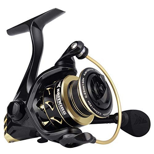 KastKing Valiant Eagle Gold Spinning Reel - 6.2:1 High-Speed Gear Ratio, Freshwater and Saltwater Fishing Reel, Faster Line Retrieve, Braid Ready Spool, 7+1 Shielded Stainless Steel Ball Bearings