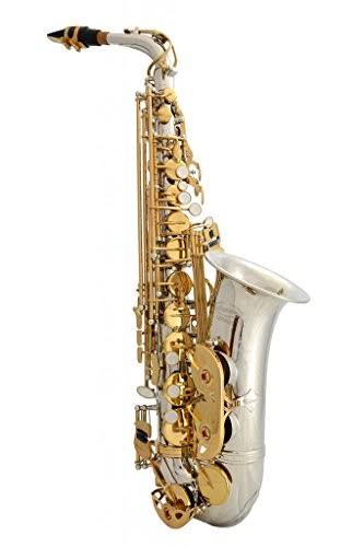 Lazarro Professional Silver Body-Gold Keys Eb E Flat Alto Saxophone Sax with 11 Reeds, Case u0026 Many Extras - 360-2C