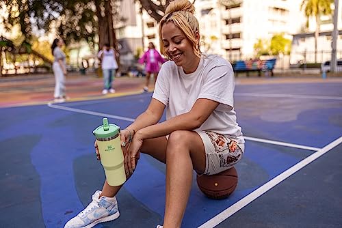 Stanley IceFlow Flip Straw Tumbler with Handle 30 oz | Twist On Lid and Flip Up Straw | Leak Resistant Water Bottle | Insulated Stainless Steel |BPA-Free | Lilac