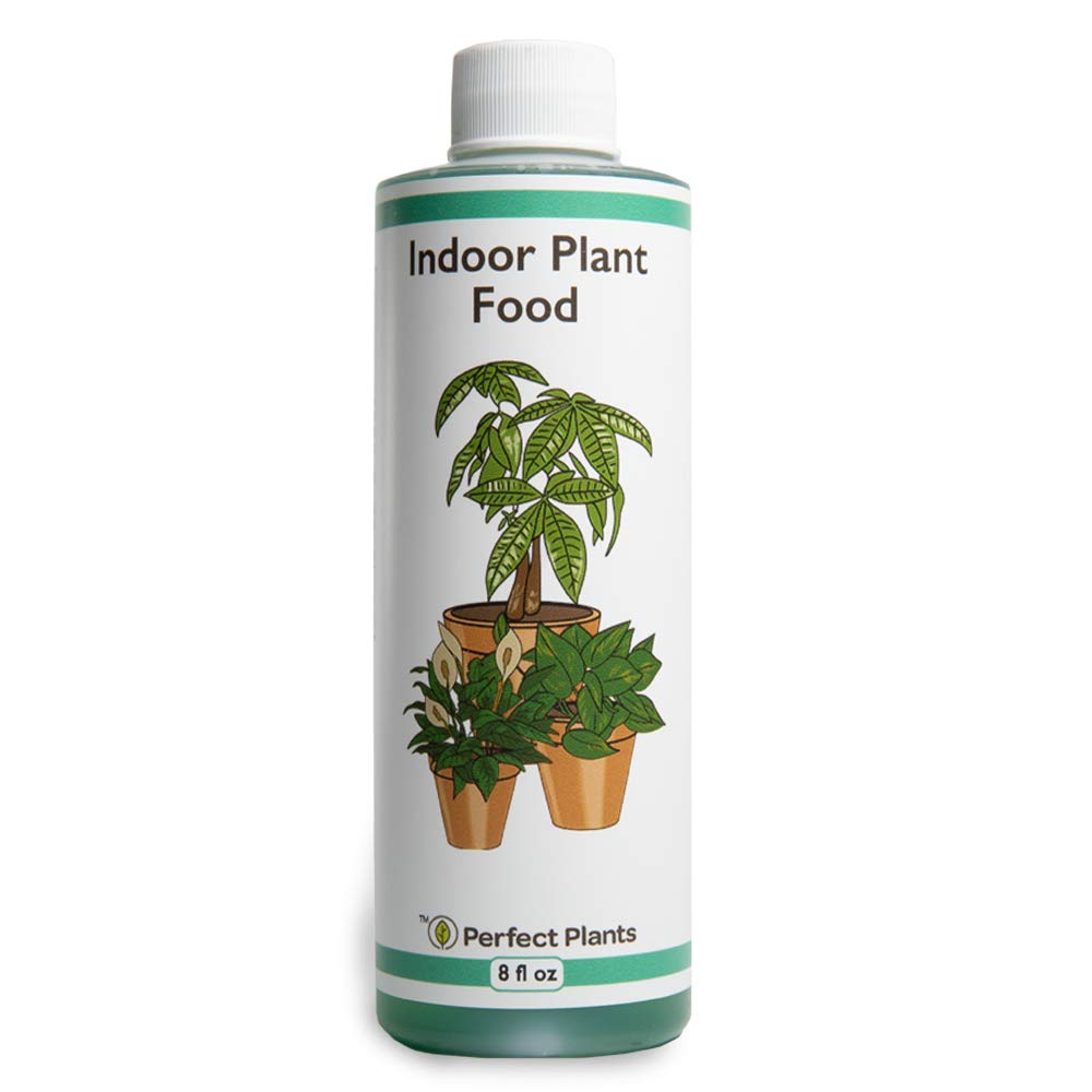 Perfect Plants Liquid Indoor Plant Food | 8oz. of Concentrated All-Purpose Fertilizer | Use with All Varieties of Houseplants