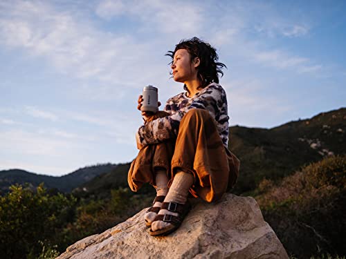 Stanley GO Everyday Wine Tumbler 10 oz | Press Fit Drink Through Lid | Beverage, Coffee, and Cocktail Cup | Insulated Stainless Steel Wine Glass | BPA-Free | Ash