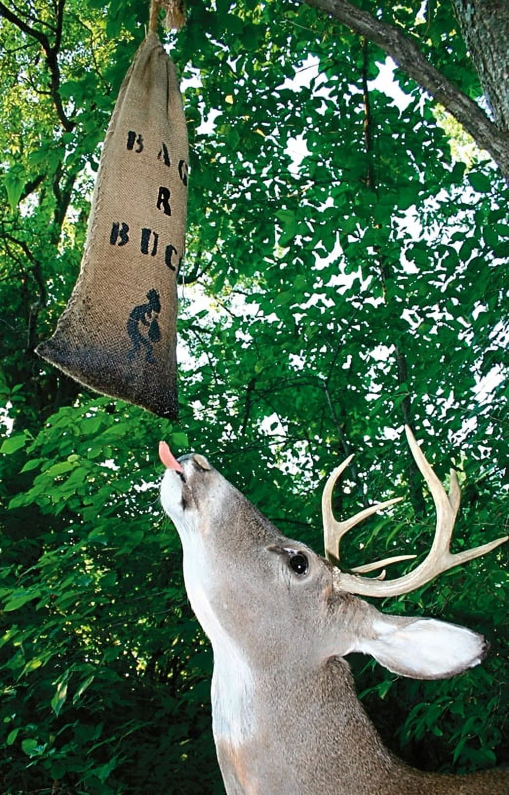 Bag-R-Buck Special-Blend Deer Attractant, 2 Pack, 4-lb. Bags