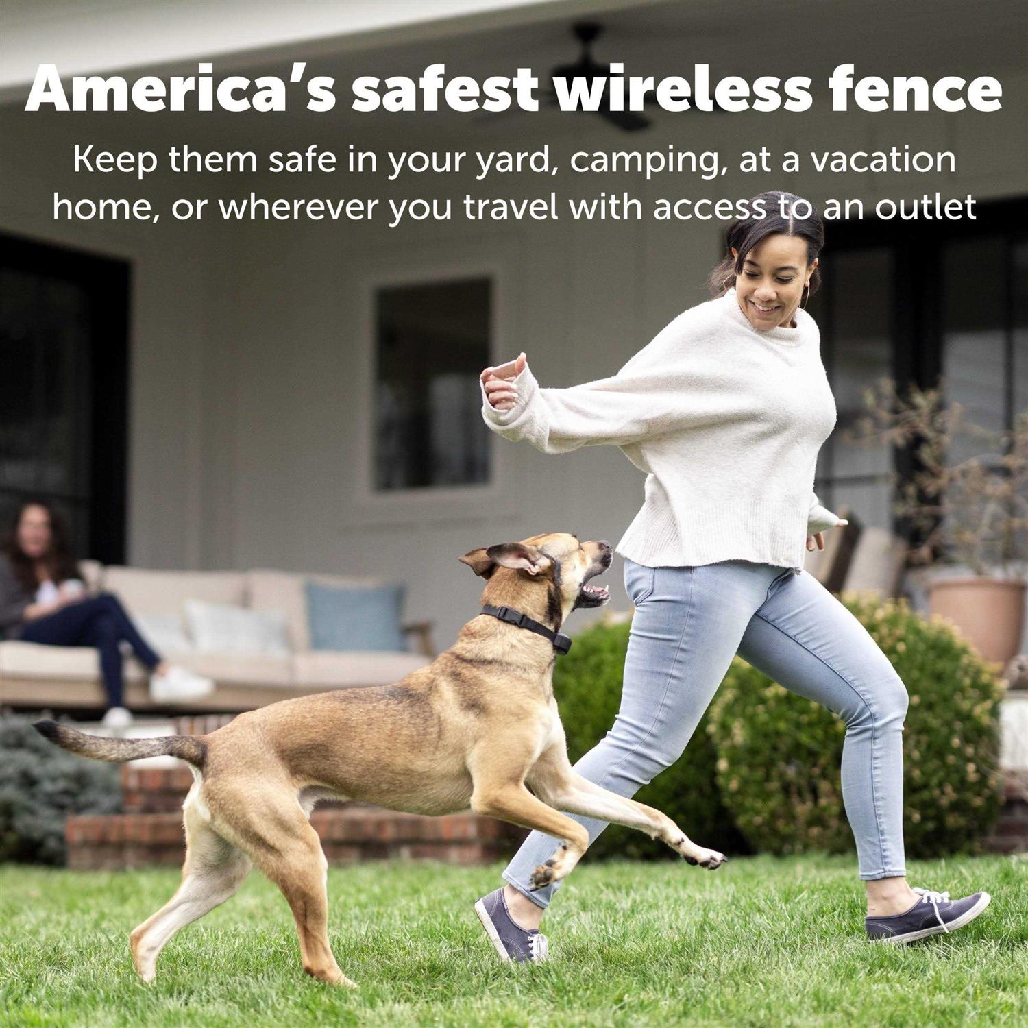 PetSafe Stay & Play Wireless Fence Receiver Collar - Pet Supplies online store