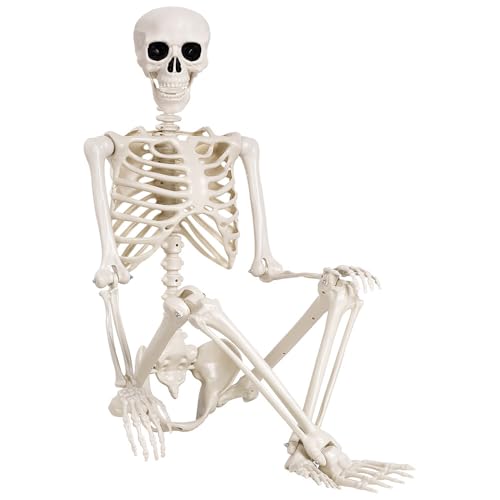 5.4 ft Halloween Skeleton - Life Size Human Skeleton with Full Body Posable Joints - Spooky Scary Plastic Skeleton for Outdoor Decoration, Halloween Party Decor, Haunted House Props