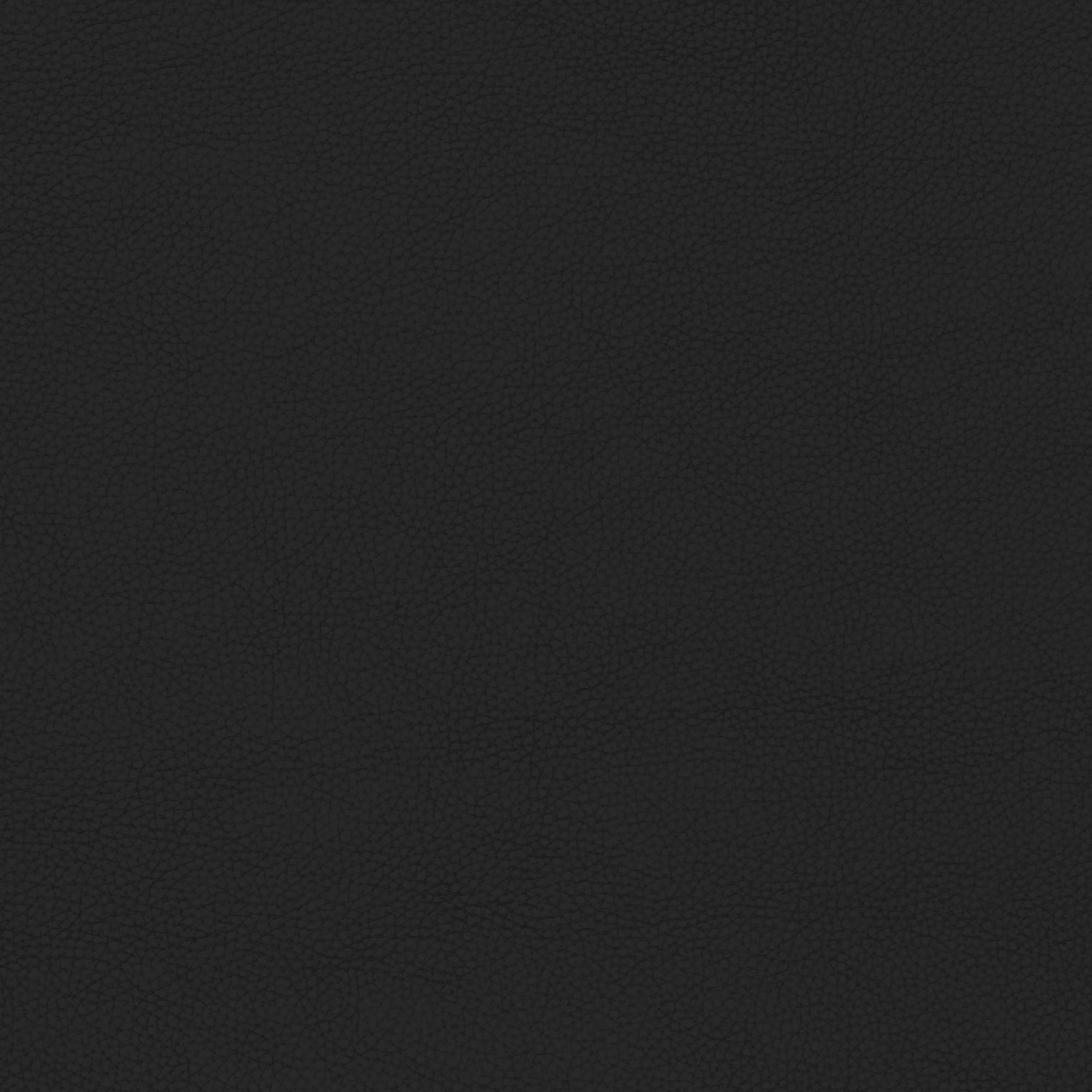 Martha Stewart Taytum Upholstered Office Chair in Black/Polished Nickel