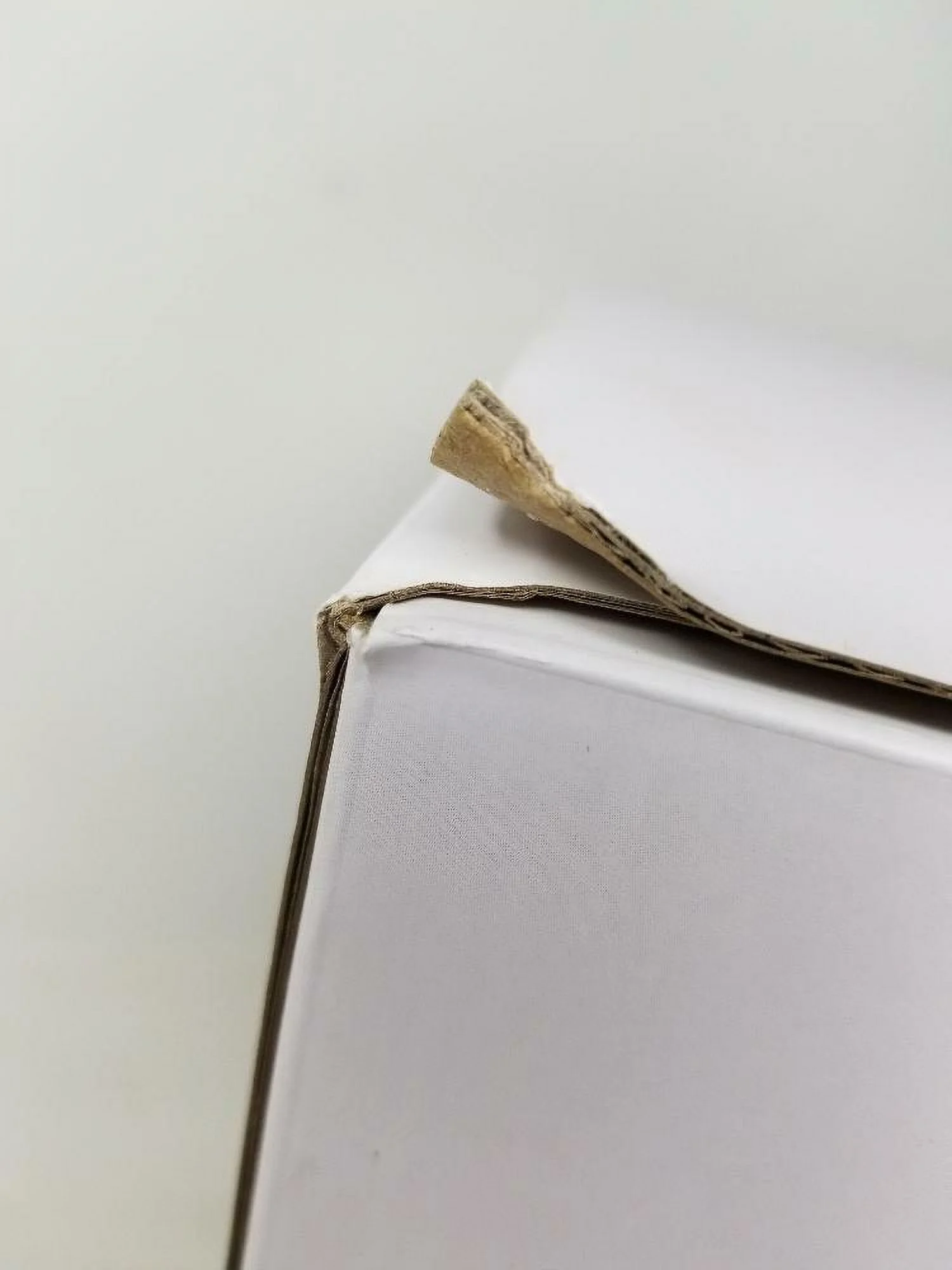 Chowtime Wi-Fi Automatic Pet Feeder