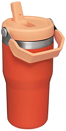 Stanley IceFlow Flip Straw Tumbler with Handle 30 oz | Twist On Lid and Flip Up Straw | Leak Resistant Water Bottle | Insulated Stainless Steel |BPA-Free | Lilac