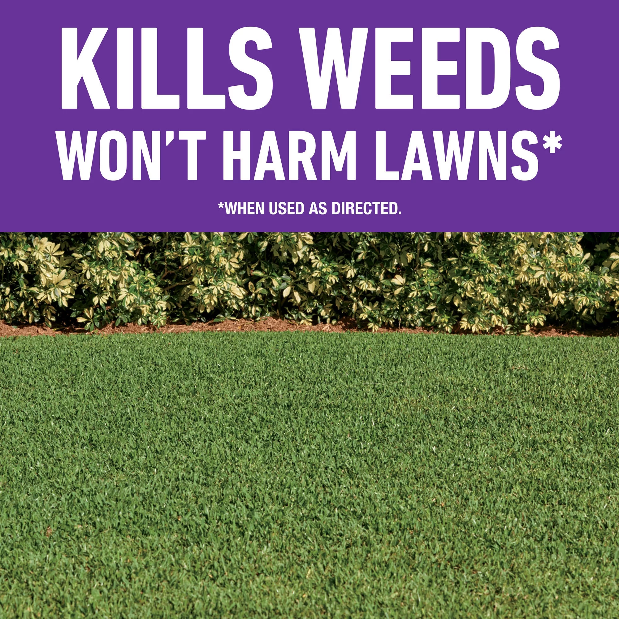 Roundup for Lawns₄ Ready-to-Use (Southern), Weed Killer 1 gal.