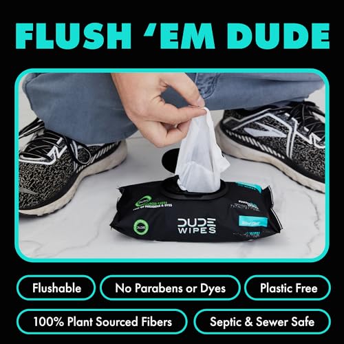 DUDE Wipes - Flushable Wipes Stocking Stuffers - 1 Pack, 48 Wipes - Mint Chill Extra-Large Adult Wet Wipes - Eucalyptus & Tea Tree Oil - Sewer and Septic Safe