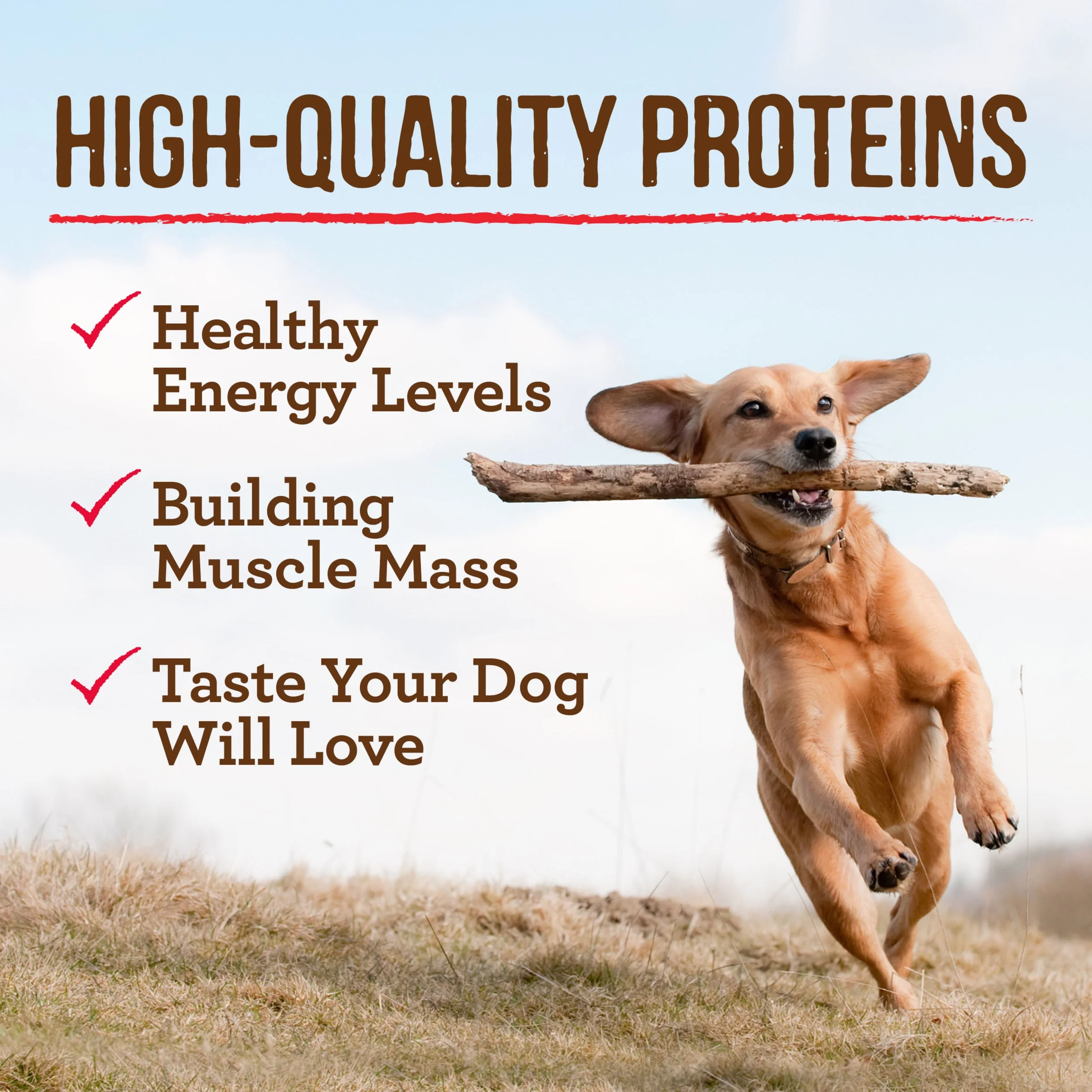 Merrick Steak Chunks Wet Dog Food, Grain Free, 12.7 oz Can