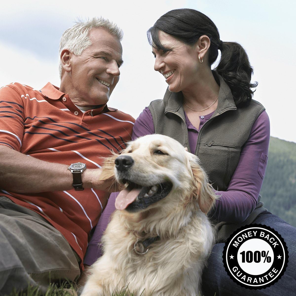 Swanson Sunflower Lecithin Powder Non-GMO 16 Ounce