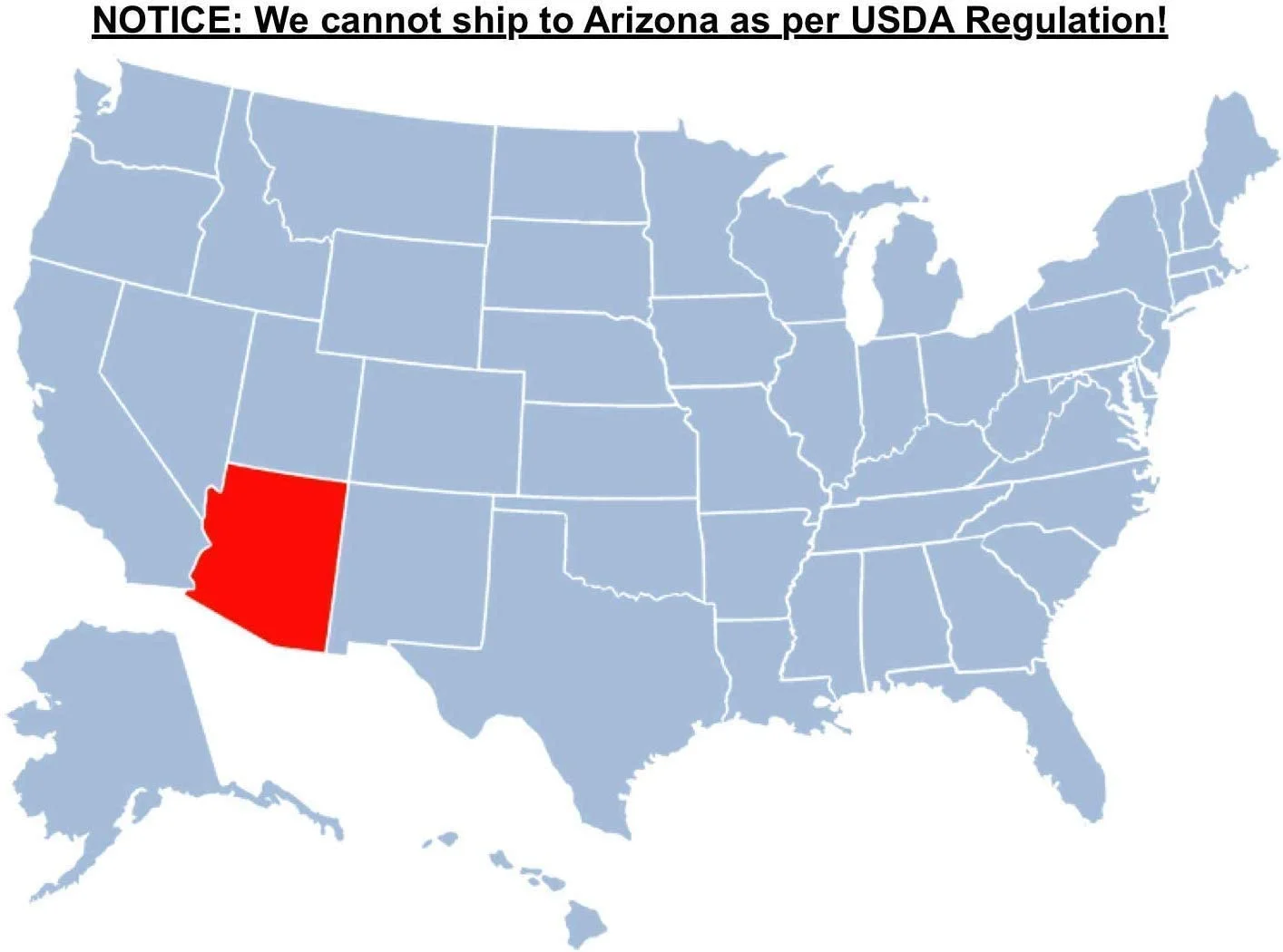 Brighter Blooms - Vanilla Strawberry Hydrangea Tree, 5-6 ft. - No Shipping To AZ