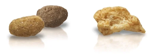 Purina ONE Tender Selects Blend with Real Salmon Cat Food 22 lb. Bag