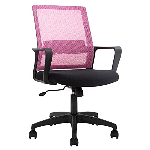 FDW Office Chair Ergonomic Desk Chair Mid-Back Mesh Computer Chair Lumbar Support Comfortable Executive Adjustable Rolling Swivel Task Chair with Armrests,Black