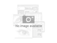 Essentials Japanese - License - 1 user - ESD - Mac