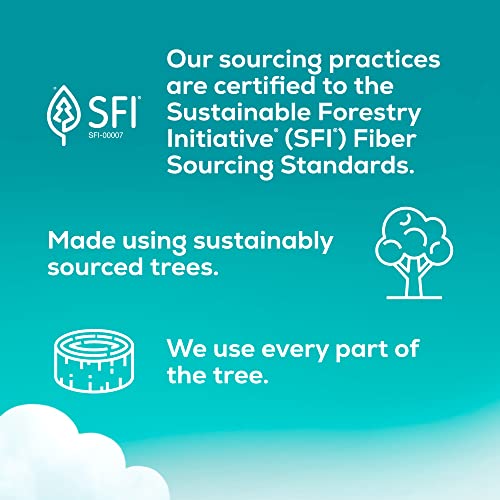 Angel Soft Toilet Paper, 6 Super Mega Rolls : 36 Regular Rolls (Pack of 2)