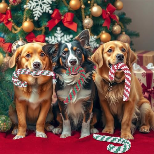 Christmas Dog Rope Toys, Christmas Candy Cane Rope Toys, Dog Interactive Chewing Toy for Puppy Small Medium Dogs Training Playing Teething Cleaning, 2 Pack Red
