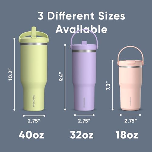 Hydrapeak Nomad 24 oz Tumbler with Handle and Straw Lid, Leakproof, Double Insulated, 24oz Cup Stainless Steel (Blush)