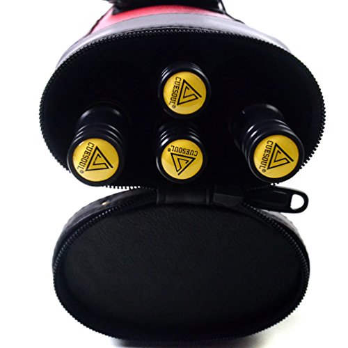 CUESOUL House Bar Pool Cue Sticks,Two Cue Sticks + 2x2 Pool Cue Case Hard