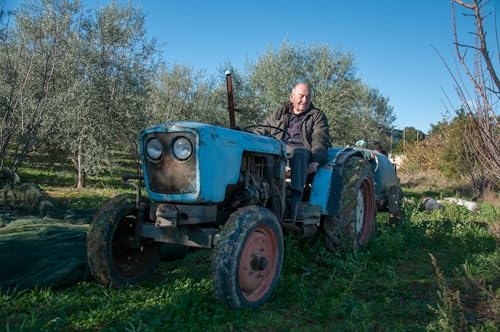 Mr. Papou's | Extra Virgin Olive Oil | First Cold Pressed | Family Owned | Harvested in Greece | 3 Liter - 101.4 fl oz (3 Liter)