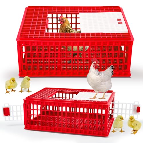 2 Pcs Poultry Carrier Crate 3 Door Chicken Transport Cage Plastic Poultry Carrier Basket Box for Chicken Duck Goose Birds, 29.53 x 21.65 x 11.42 Inch(Blue)