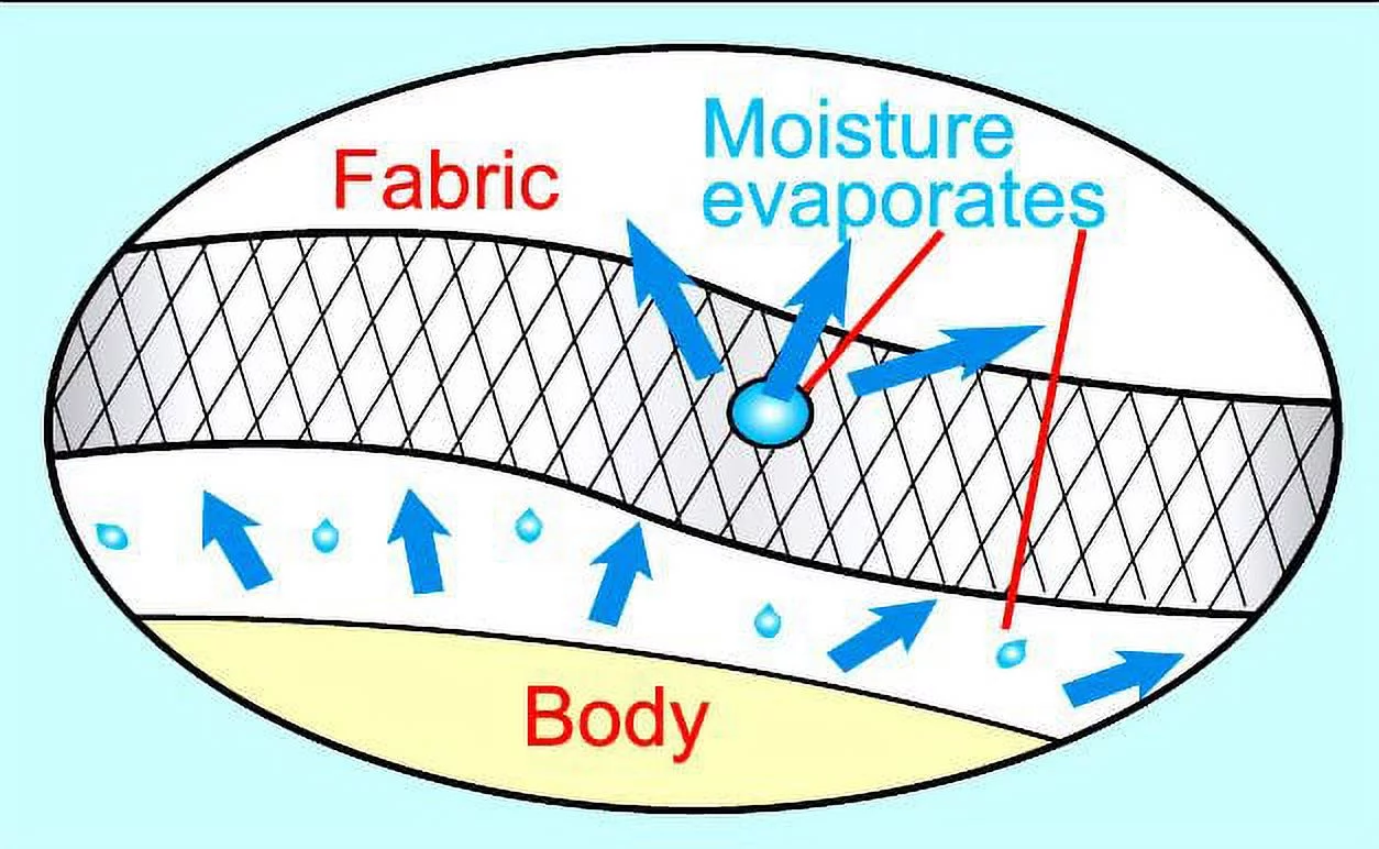 Mens Manu Bay Surf Company WHITE STARFISH T-shirt, 2XL Military Green