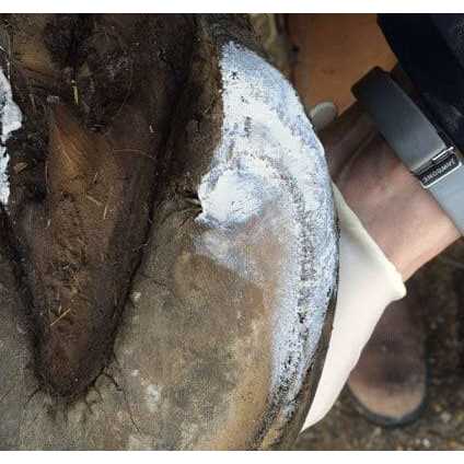 Artimud Hoof Clay 750g - Pet Supplies online store