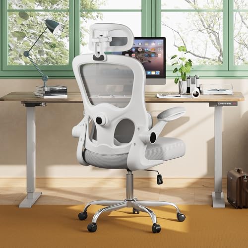 DEVAISE Office Chair, Breathable Black Mesh Elegance with Ergonomic Comfort for Professionals & Gamers