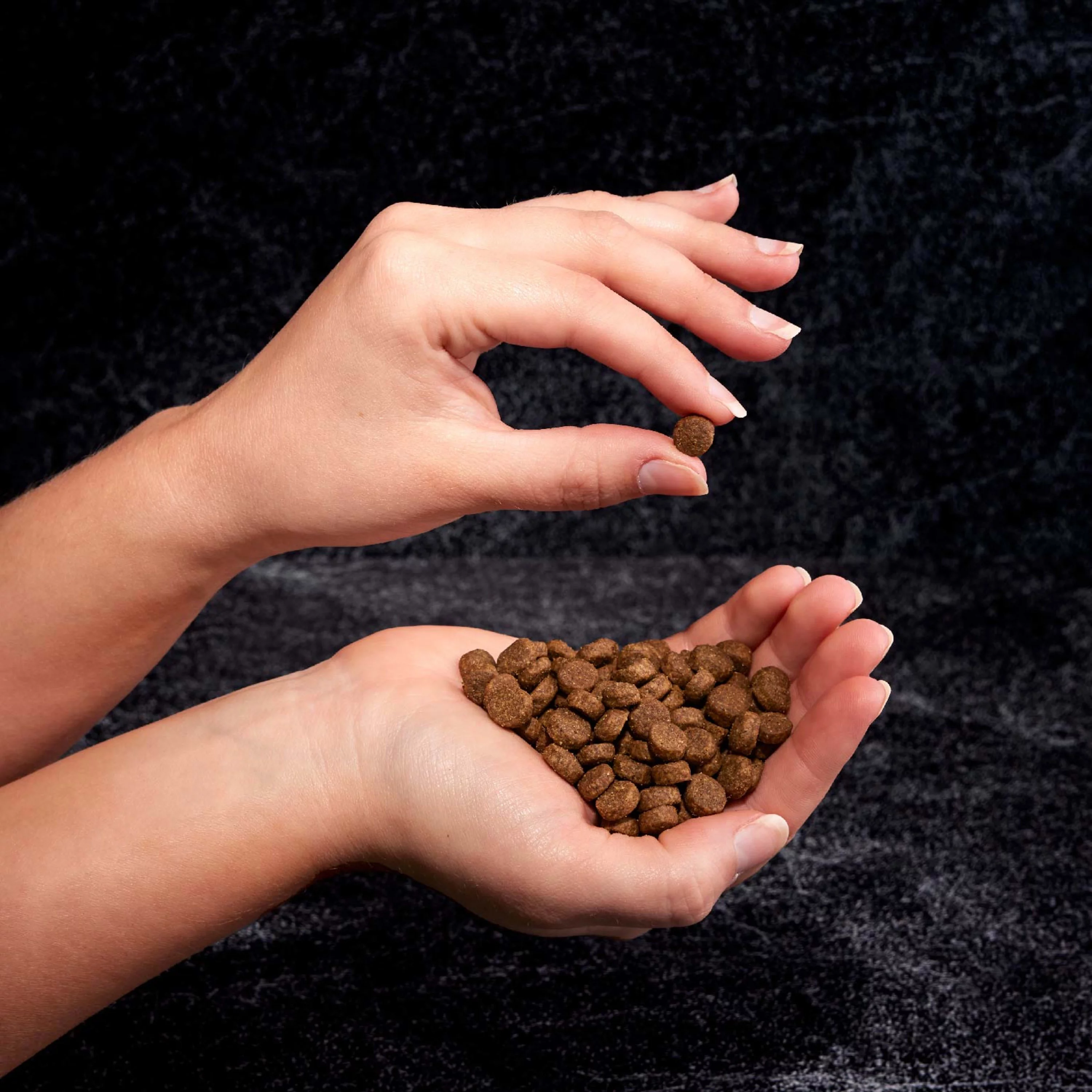 CRAVE Grain Free Adult Dry Dog Food with Protein from Lamb, 4 lb. Bag