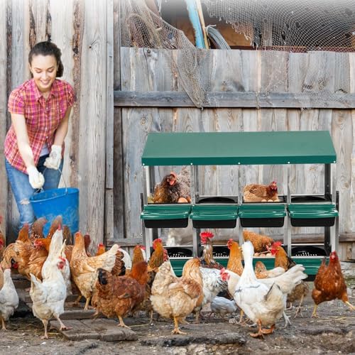 Chicken Nesting Box, 10 Hole 2 Layer Hen Nest Box with Legs, Roll Away Eggs Laying Boxes,Cleanable Pull Out Hen Roosting Boxes
