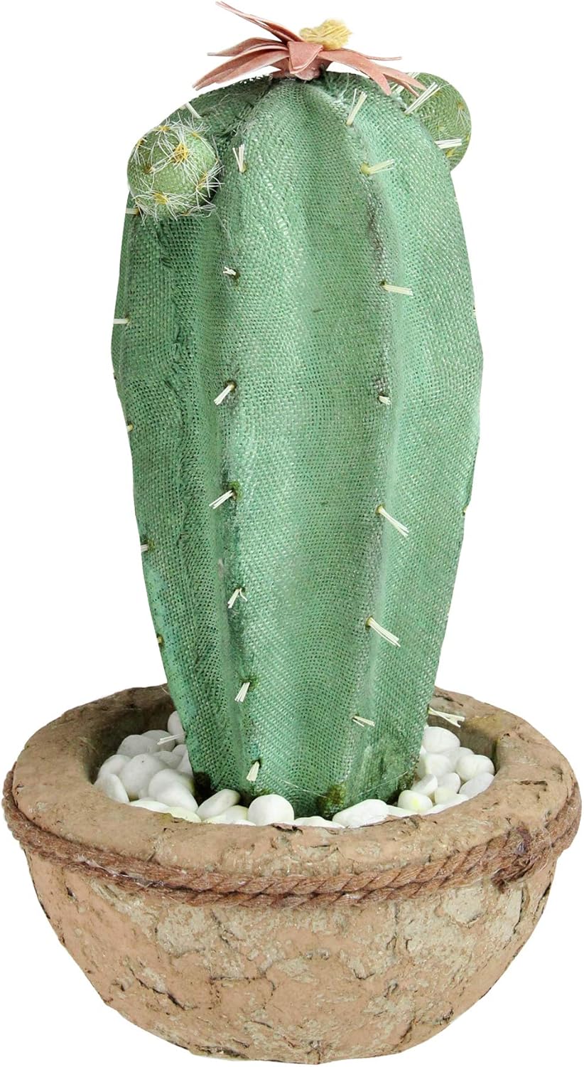 Northlight 13.75” Potted Green and Brown Artificial Cactus Plant with Flowers