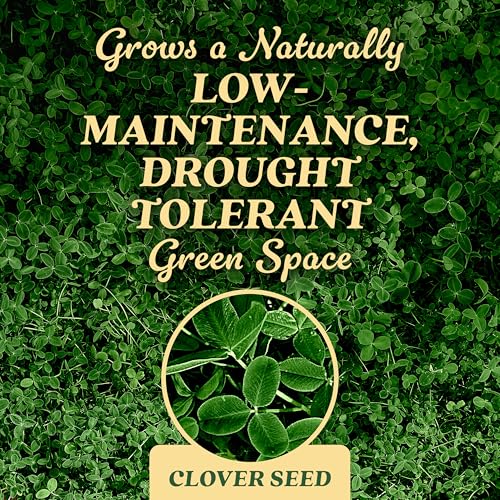 O.M. Scott and Sons Tall Fescue Blend Grass Seed, Fertilizer and Soil Improver, Naturally Crowds Out Weeds, Covers Up to 2,000 sq. ft., 8 lbs.