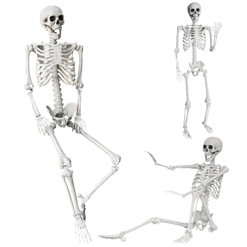 Wocst 5.4Ft/165cm Halloween Skeleton Full Body Life Size Human Bones with Movable Joints for Indoor Outdoor Halloween Props Decorations